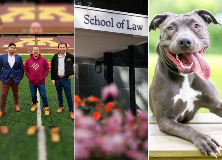 NIL rights, environmental law diversity, and animal law access