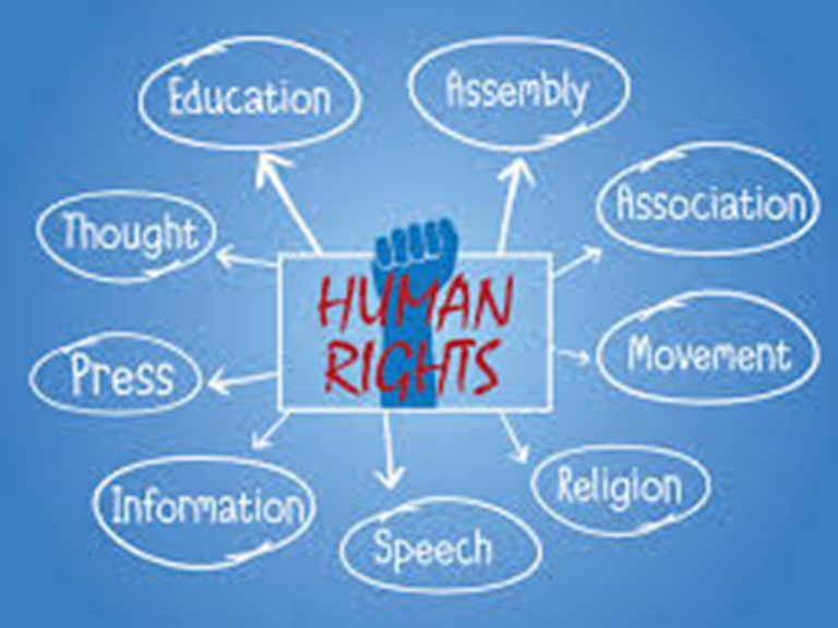 Top Schools for Human Rights Law