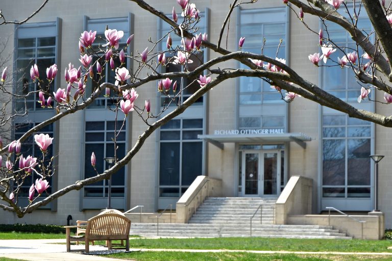 Pace names law school after environmentalist