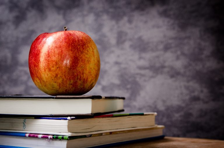 Careers in Academia for law grads