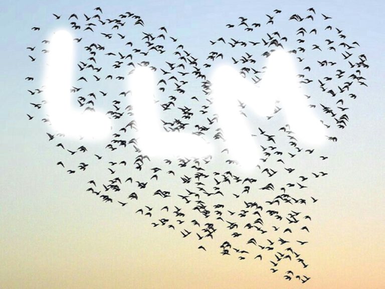 The LLM Network – Unused Potential
