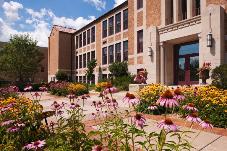Mitchell Hamline enrolls record number of Native American students