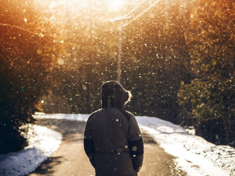 LLM: No Path to Success in the U.S.