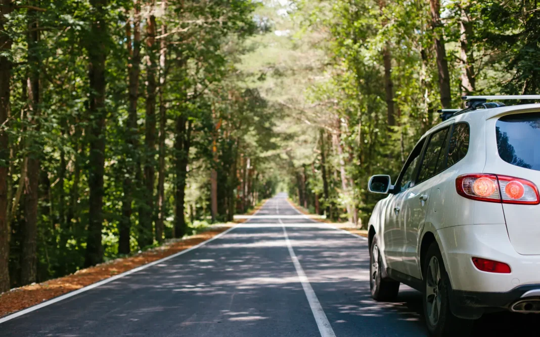 White SUV parked along a quiet paved road surrounded by dense green forest, with the road stretching straight into the distance.