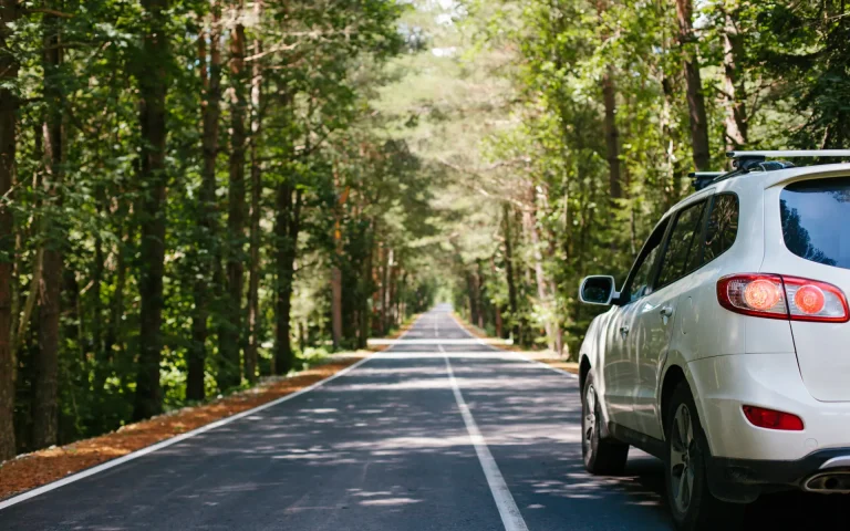 White SUV parked along a quiet paved road surrounded by dense green forest, with the road stretching straight into the distance.