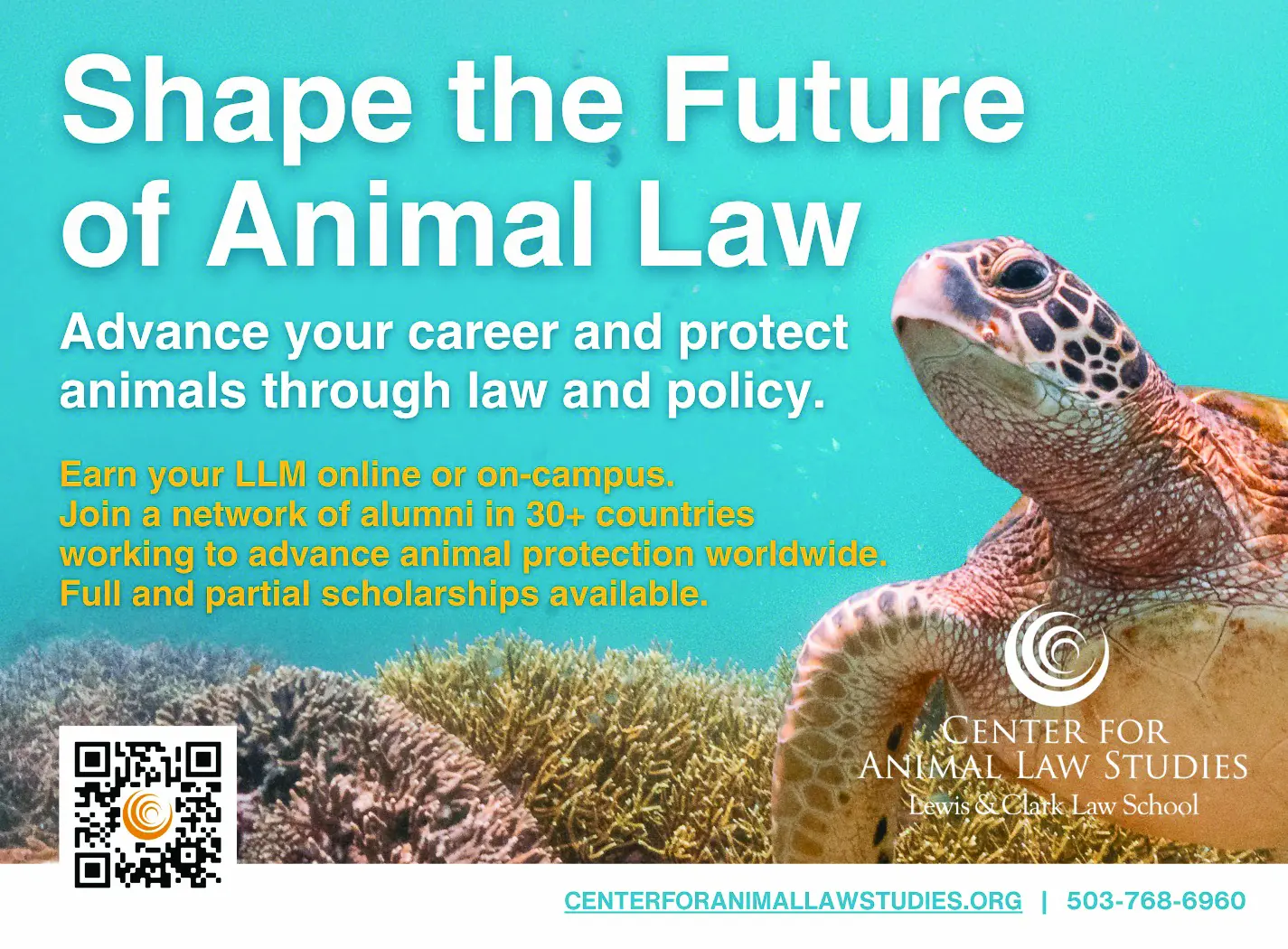 Sea turtle swimming above coral reef with text that reads 