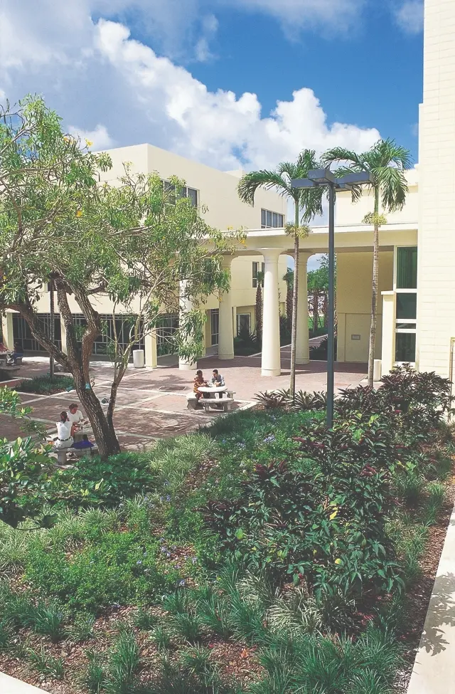 A sunny courtyard at the University of Miami law school featuring light-colored modern buildings, palm trees, landscaped greenery, and students նստing at outdoor tables under a blue sky.